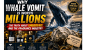 Why Whale Vomit Is Worth Millions: The Truth About Ambergris and the Fragrance Industry
